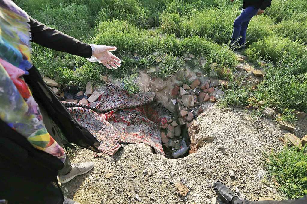 Iran Ants like living 2