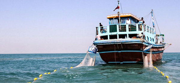 نیم اعتراف رژیم: نابودی نیمی از آبزیان دریاهای جنوب کشور با صید ترال و نگرانی از بیکاری صیادان سنتی 