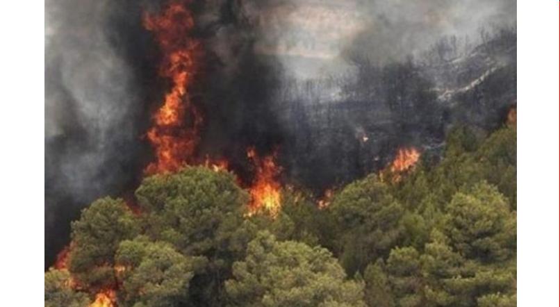 آتش سوزی ها مشکوک در ایران گسترش می یابد. ارتش در رقابت با سپاه، برای اطفای حریق ابراز آمادگی کرد