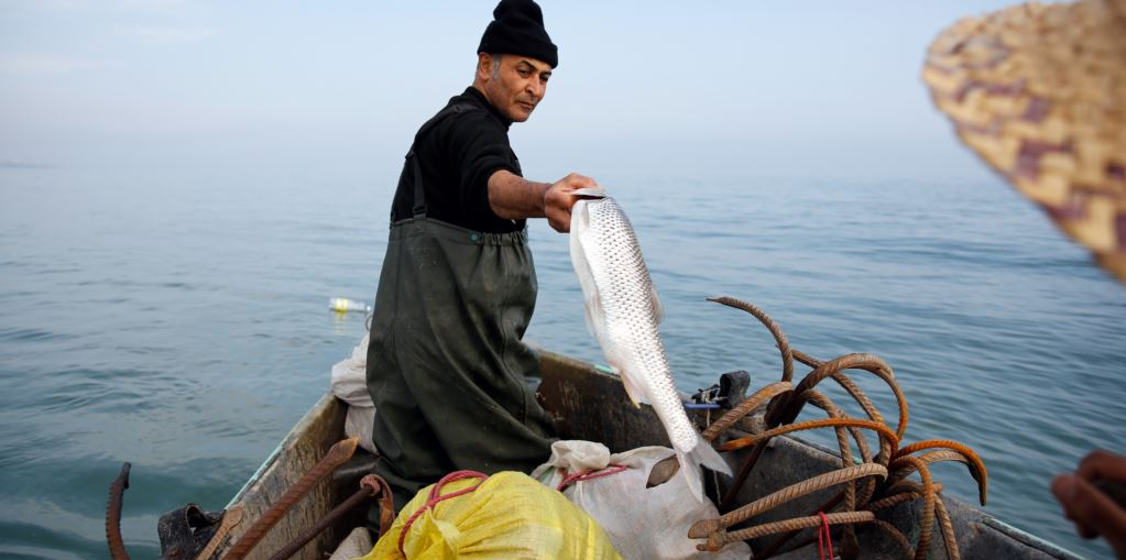 تیراندازی گارد ساحلی عربستان به صیادان بوشهری